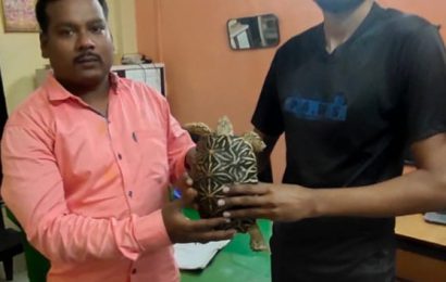 स्टार कासवाला कल्याणकरांनी दिले जीवनदान