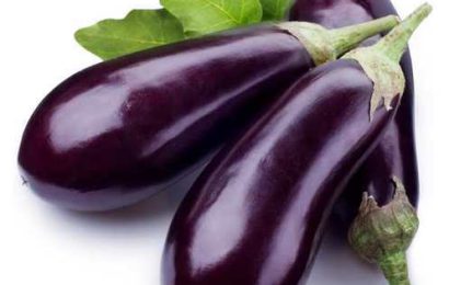 कल्याणच्या एपीएमसी मार्केटमध्ये वांग्याची आवक वाढली