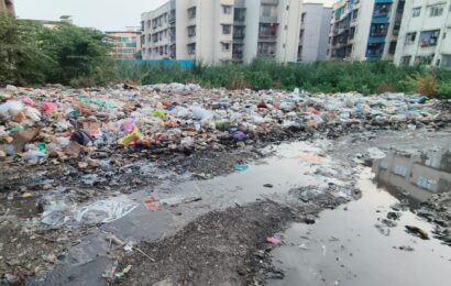 आडीवली परिसरात कचऱ्याचे साम्राज्य, केडीएमसी प्रशासनाचे दुर्लक्ष